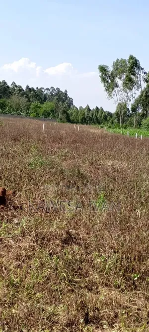 Plots Plots on Sale 50*100 Feet Buwaya Kasanje Near Road