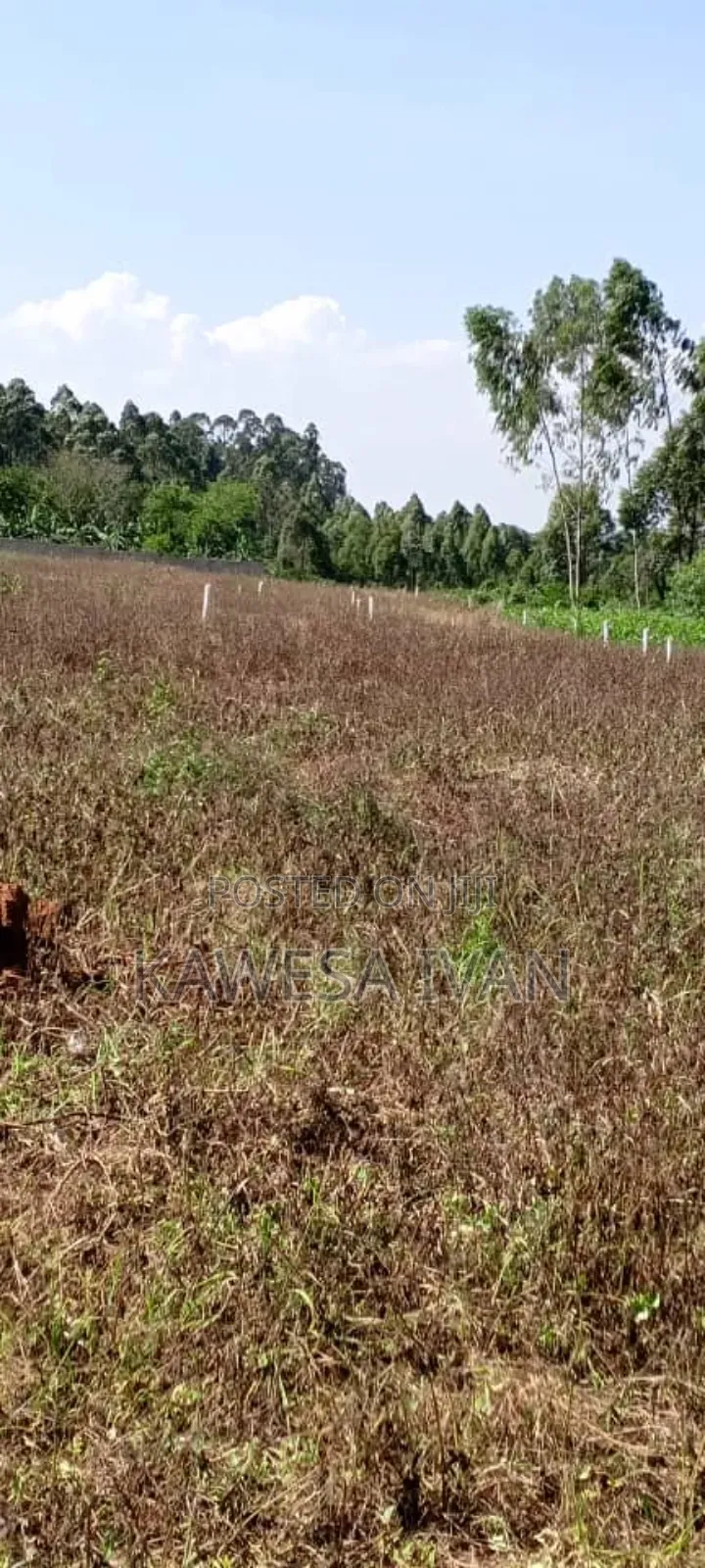 Plots Plots on Sale 50*100 Feet Buwaya Kasanje Near Road