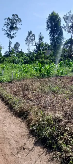 Plots Plots on Sale 50*100 Feet Buwaya Kasanje Near Road