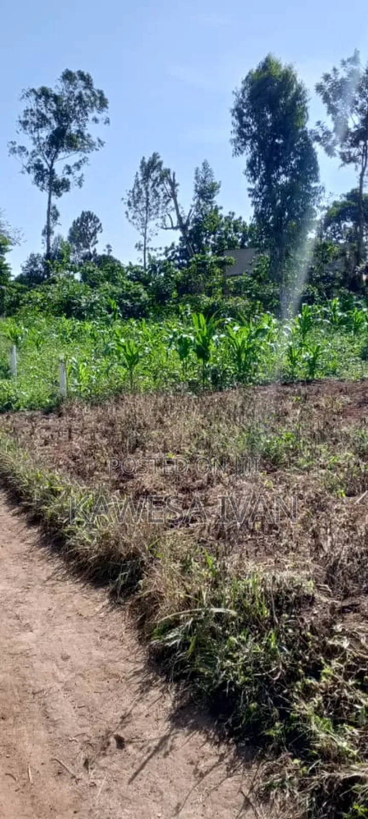 Plots Plots on Sale 50*100 Feet Buwaya Kasanje Near Road