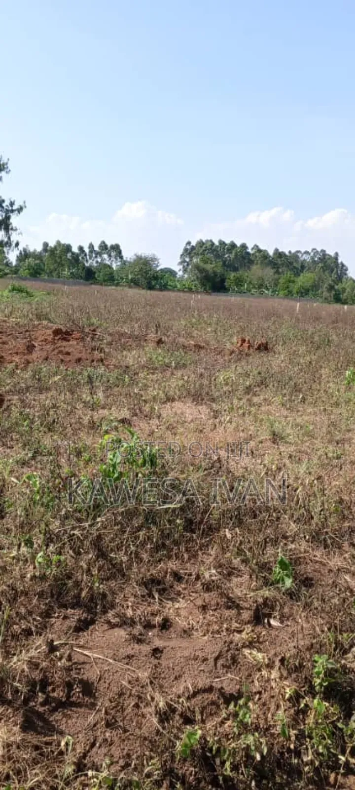 Plots Plots on Sale 50*100 Feet Buwaya Kasanje Near Road