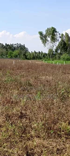Plots Plots on Sale 50*100 Feet Buwaya Kasanje Near Road