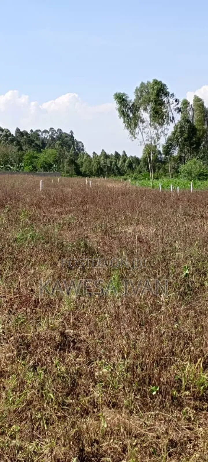 Plots Plots on Sale 50*100 Feet Buwaya Kasanje Near Road