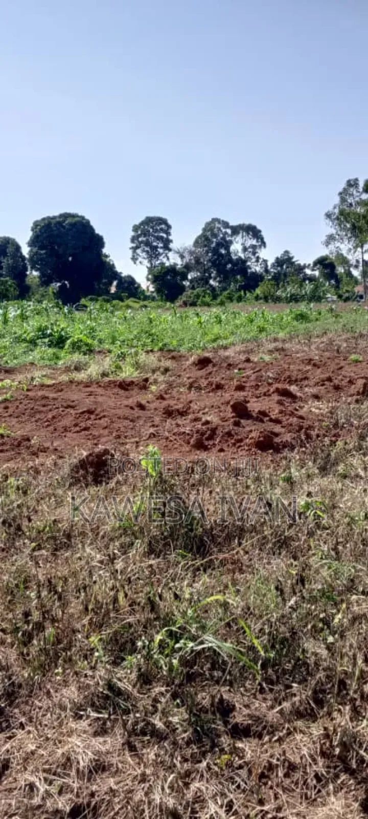 Plots Plots on Sale 50*100 Feet Buwaya Kasanje Near Road