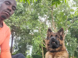 Premium Monthly Dog Care