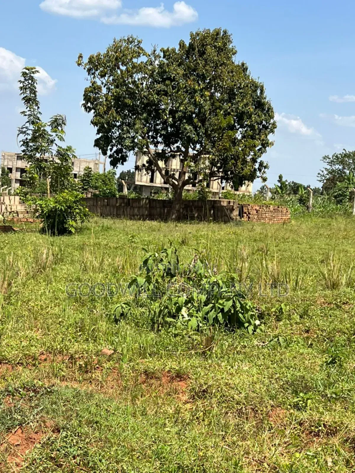 52 Decimals of Land in Gayaza Behind the Town