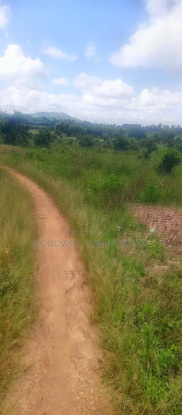 8 Acres of Land on Buwama Near Masaka Highway