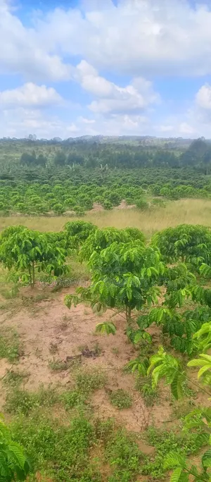 8 Acres of Land on Buwama Near Masaka Highway