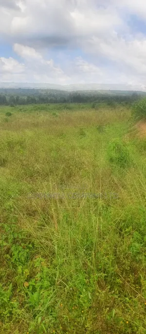 8 Acres of Land on Buwama Near Masaka Highway