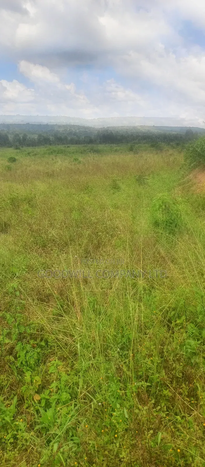 8 Acres of Land on Buwama Near Masaka Highway