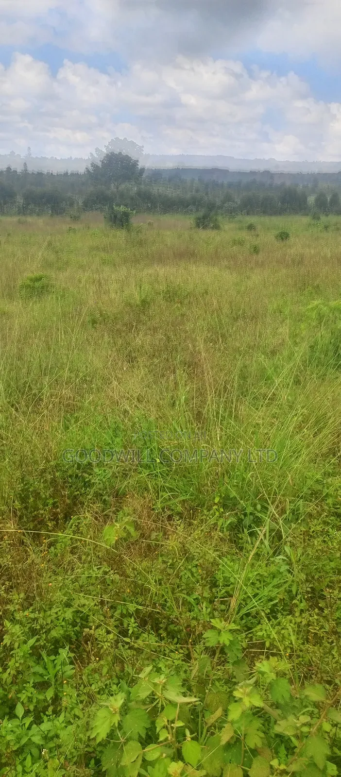8 Acres of Land on Buwama Near Masaka Highway