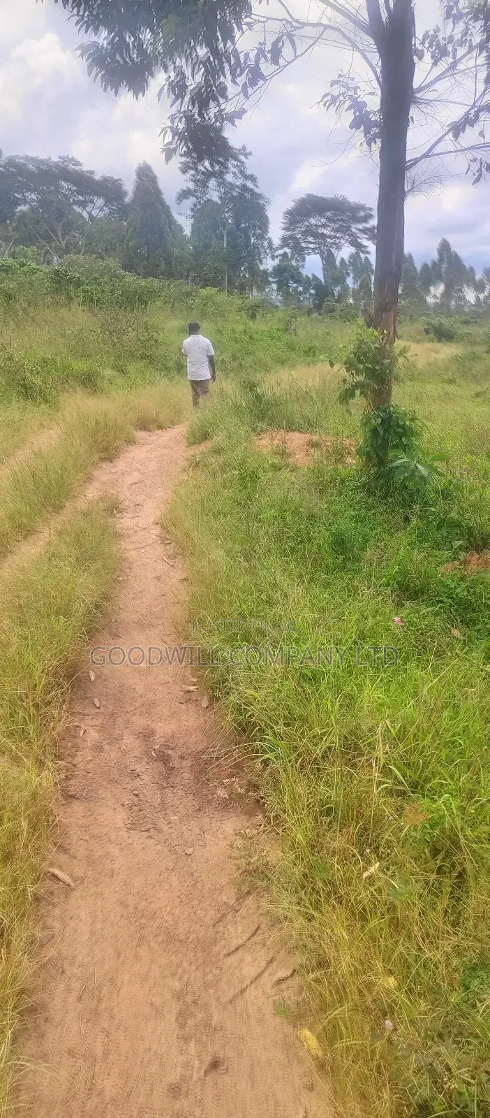 8 Acres of Land on Buwama Near Masaka Highway