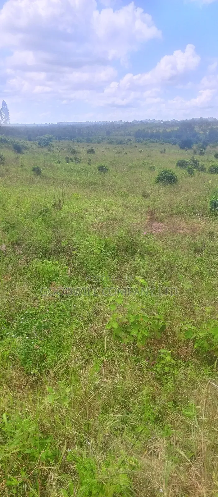 8 Acres of Land on Buwama Near Masaka Highway