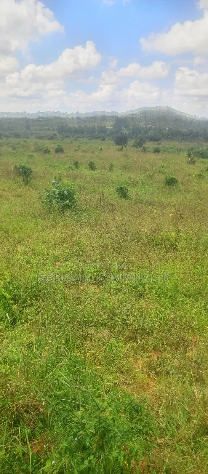 8 Acres of Land on Buwama Near Masaka Highway