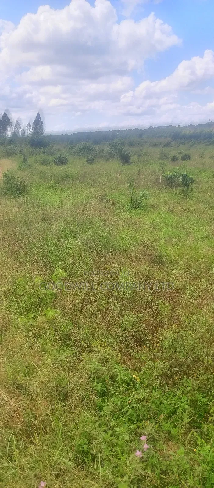 8 Acres of Land on Buwama Near Masaka Highway