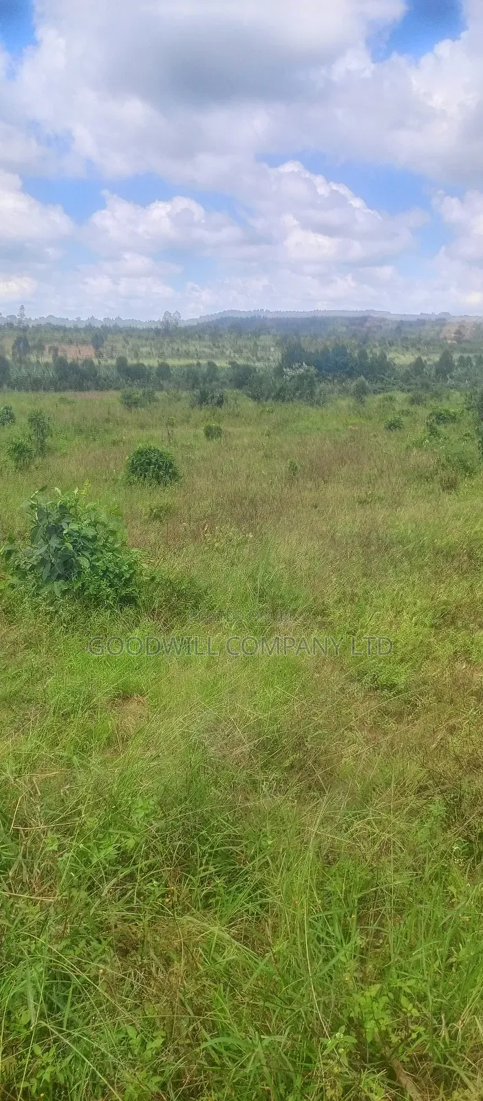 8 Acres of Land on Buwama Near Masaka Highway