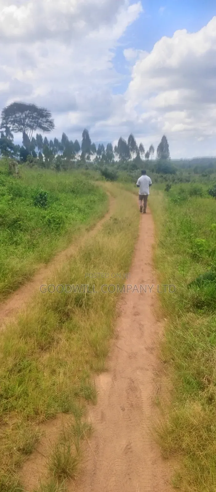 8 Acres of Land on Buwama Near Masaka Highway