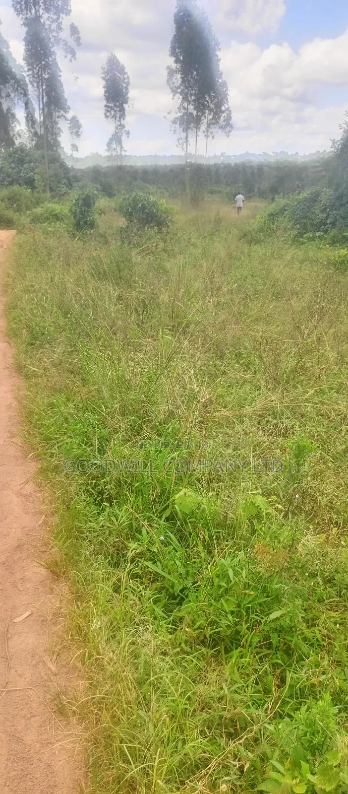 8 Acres of Land on Buwama Near Masaka Highway