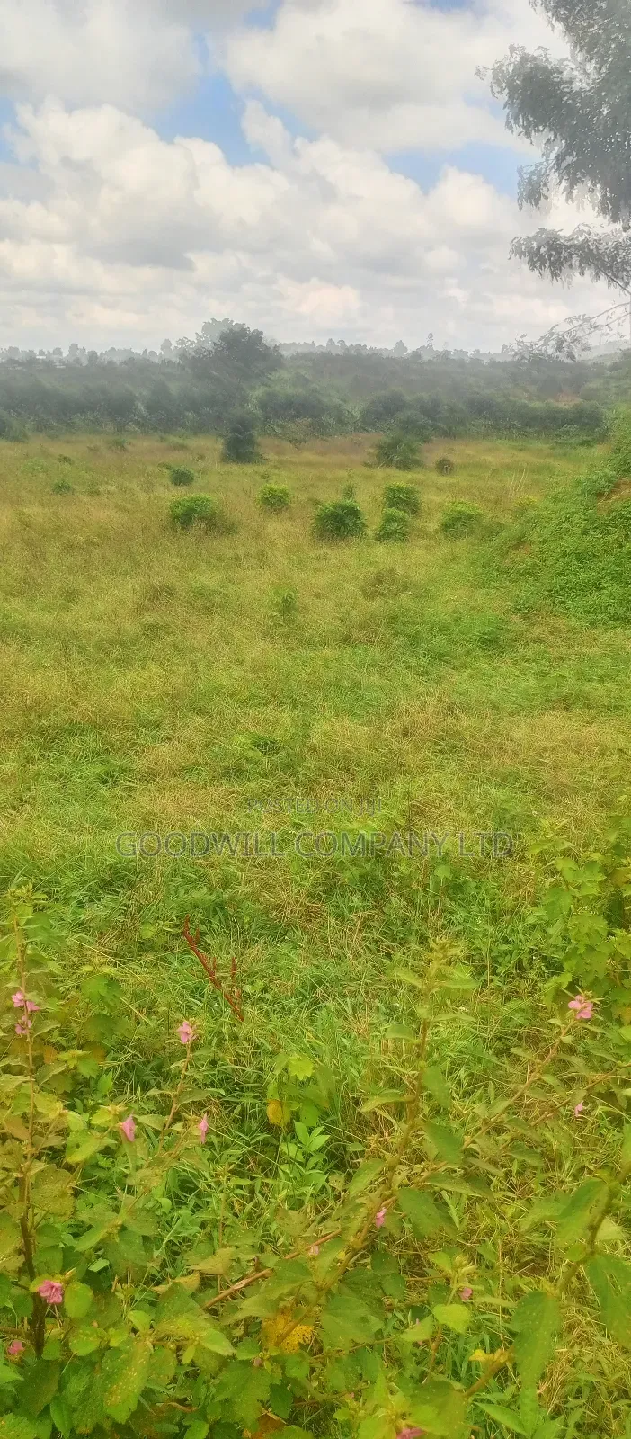 8 Acres of Land on Buwama Near Masaka Highway
