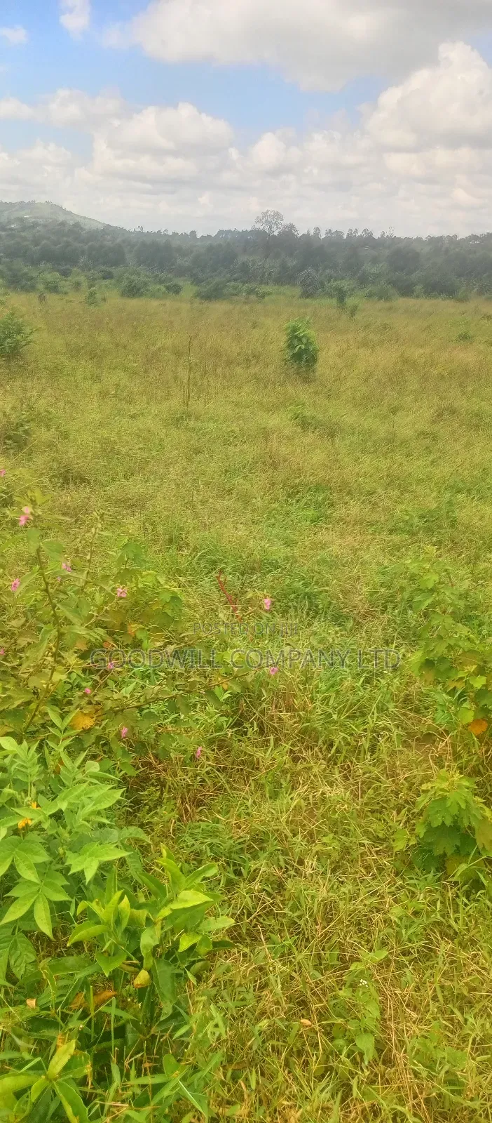 8 Acres of Land on Buwama Near Masaka Highway