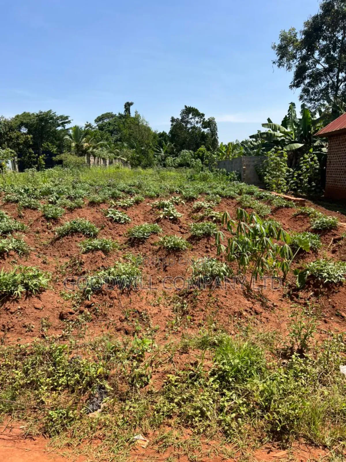 32 Decimals of Land in Kijabijjo Gayaza Behind the Town