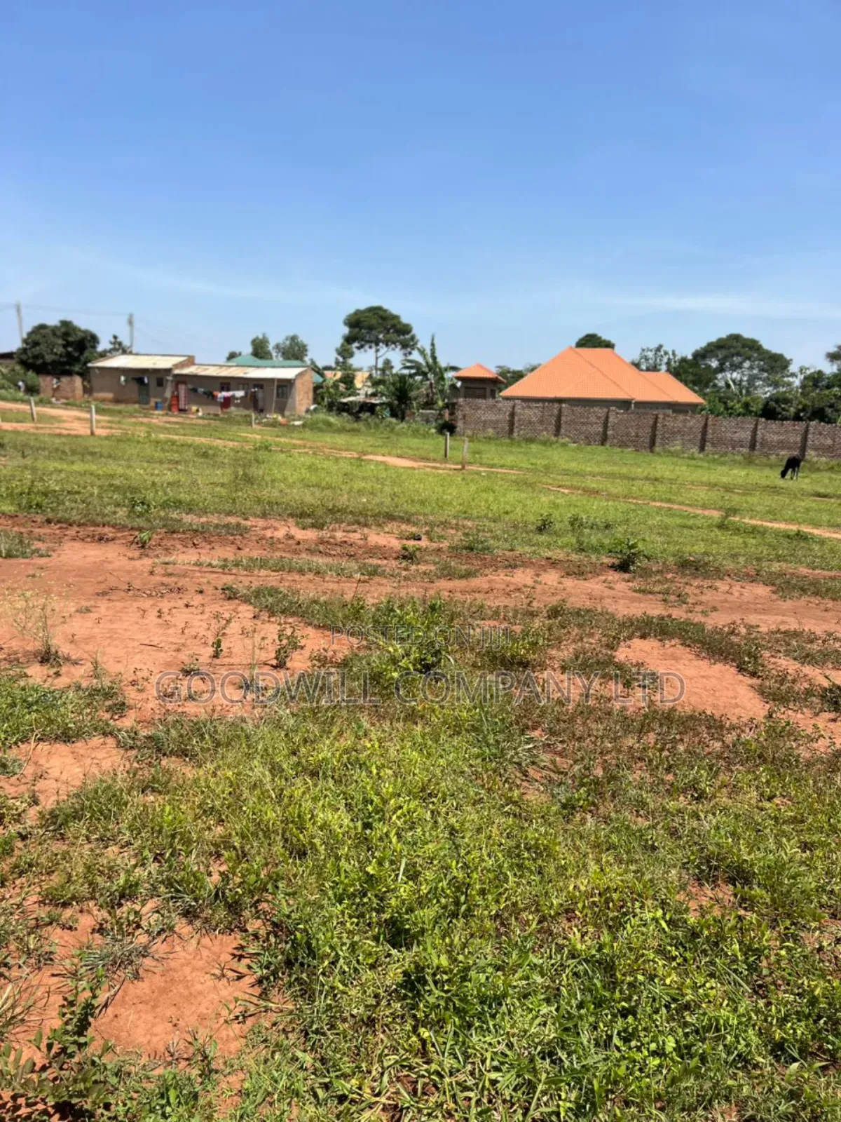 50*100feet and 100*100feet 5plots of Land in Kijabijjo After Nakwer0