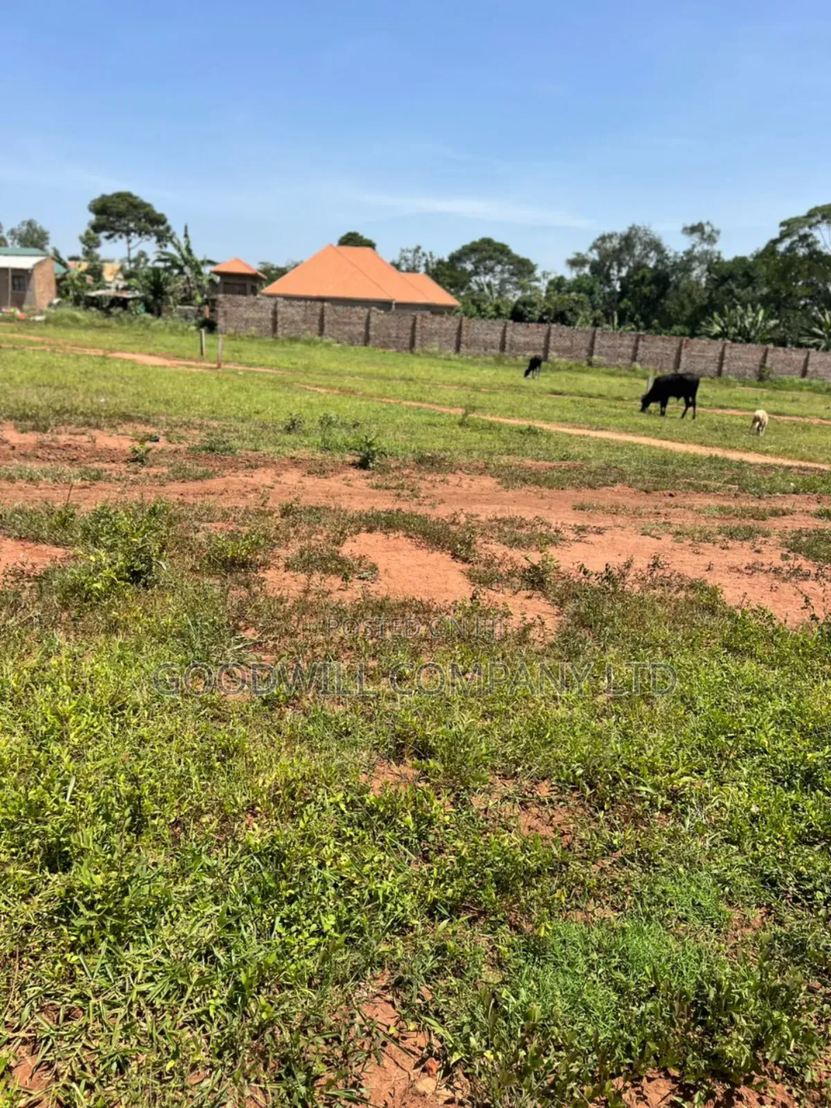 50*100feet and 100*100feet 5plots of Land in Kijabijjo After Nakwer0