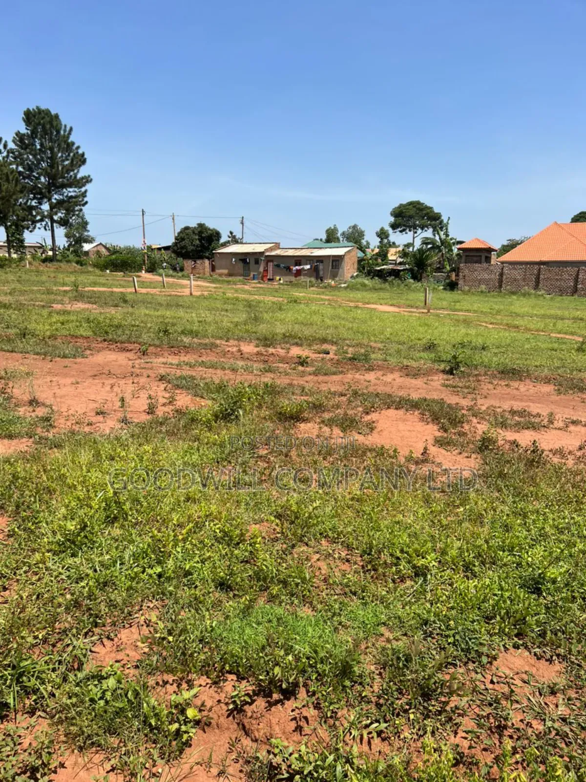 50*100feet and 100*100feet 5plots of Land in Kijabijjo After Nakwer0