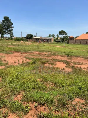50*100feet and 100*100feet 5plots of Land in Kijabijjo After Nakwer0