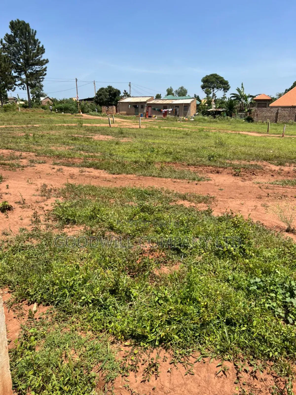 50*100feet and 100*100feet 5plots of Land in Kijabijjo After Nakwer0
