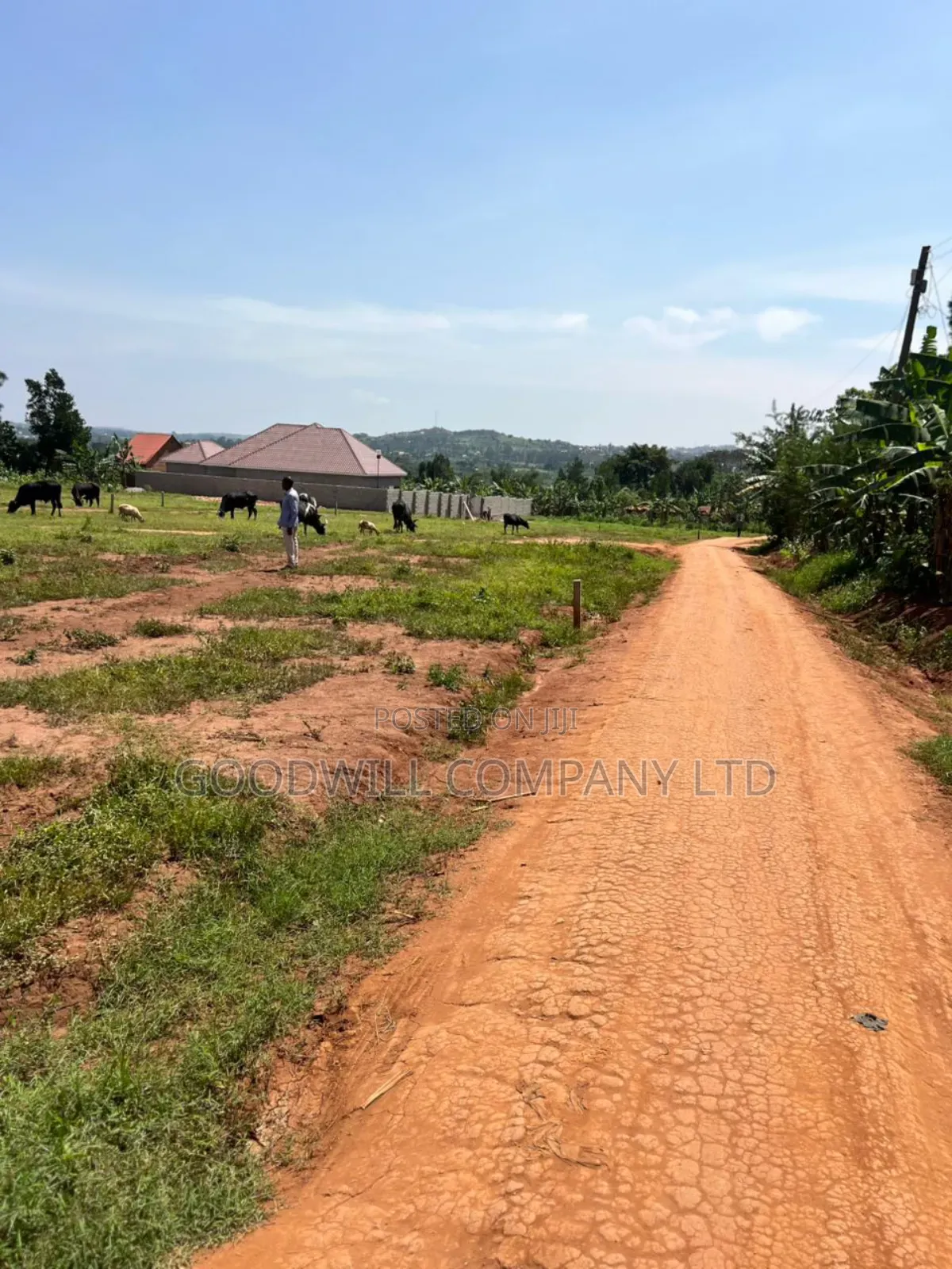 50*100feet and 100*100feet 5plots of Land in Kijabijjo After Nakwer0