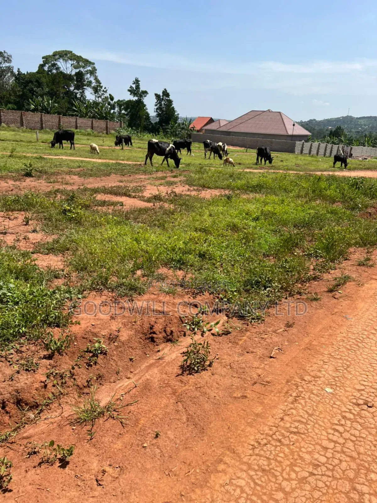 50*100feet and 100*100feet 5plots of Land in Kijabijjo After Nakwer0