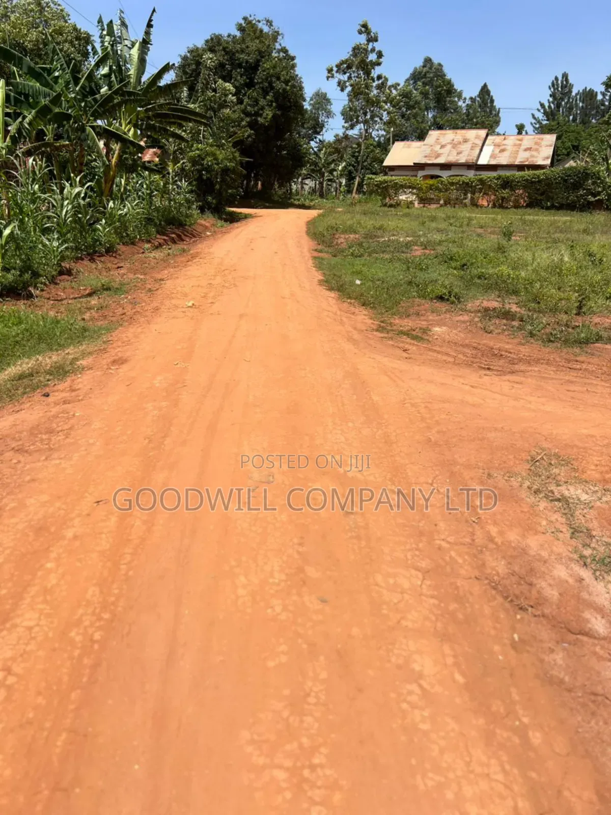 50*100feet and 100*100feet 5plots of Land in Kijabijjo After Nakwer0