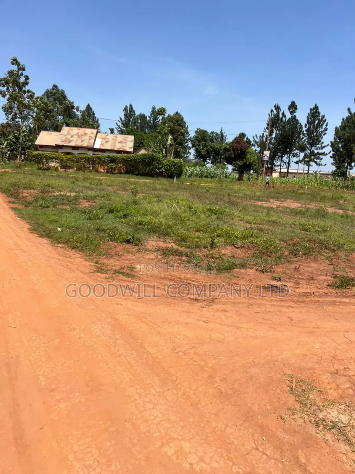 50*100feet and 100*100feet 5plots of Land in Kijabijjo After Nakwer0