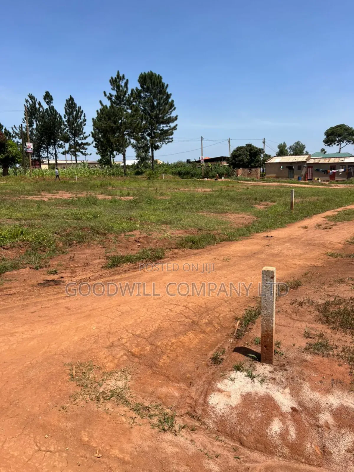 50*100feet and 100*100feet 5plots of Land in Kijabijjo After Nakwer0