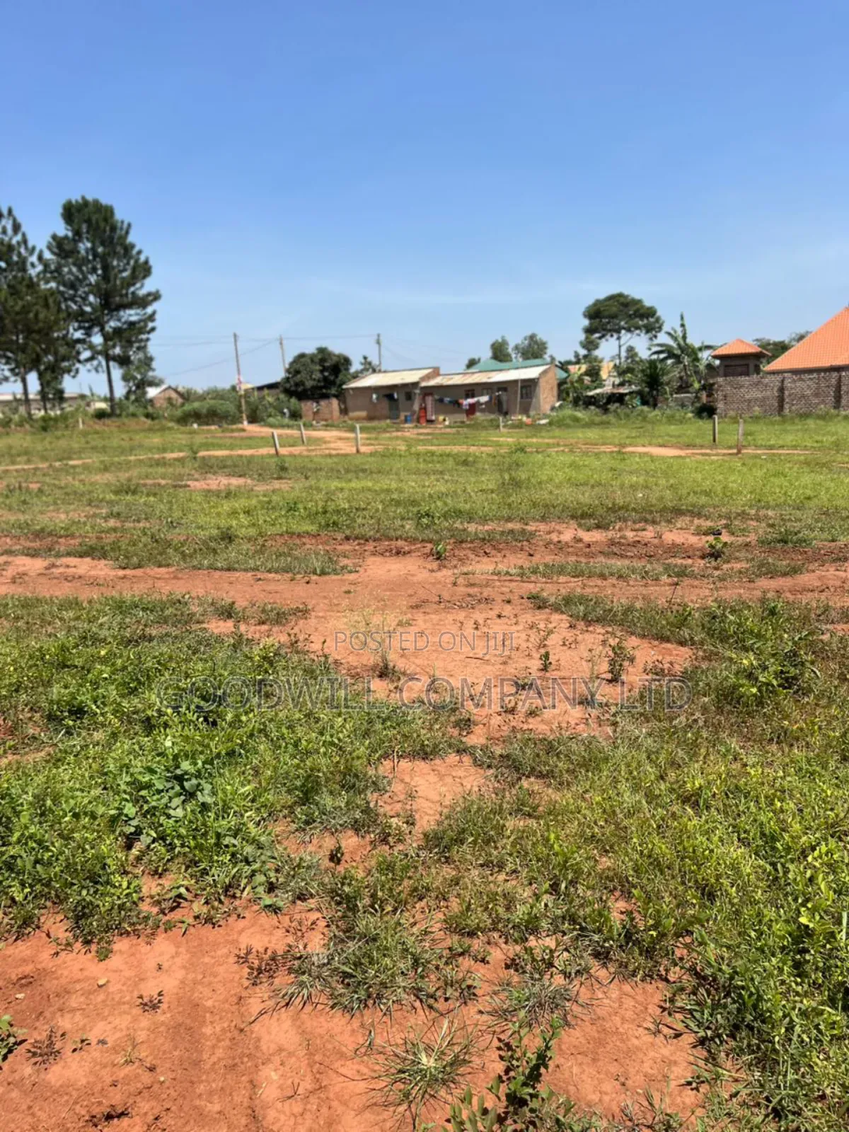 50*100feet and 100*100feet 5plots of Land in Kijabijjo After Nakwer0