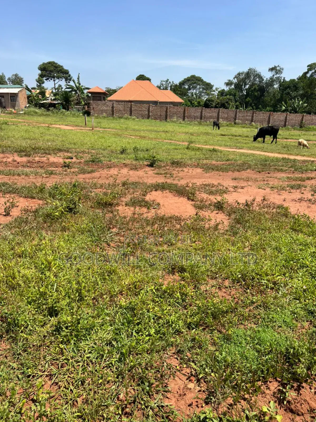 50*100feet and 100*100feet 5plots of Land in Kijabijjo After Nakwer0