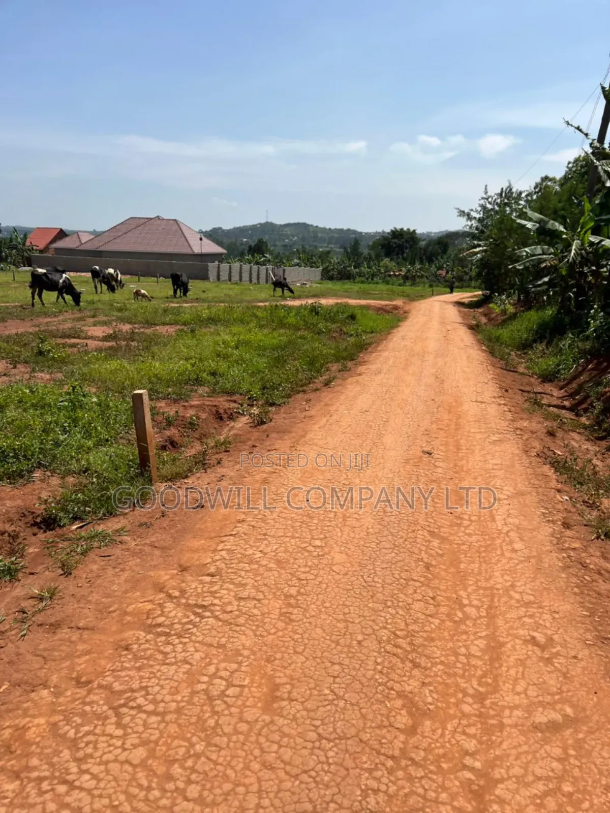 50*100feet and 100*100feet 5plots of Land in Kijabijjo After Nakwer0