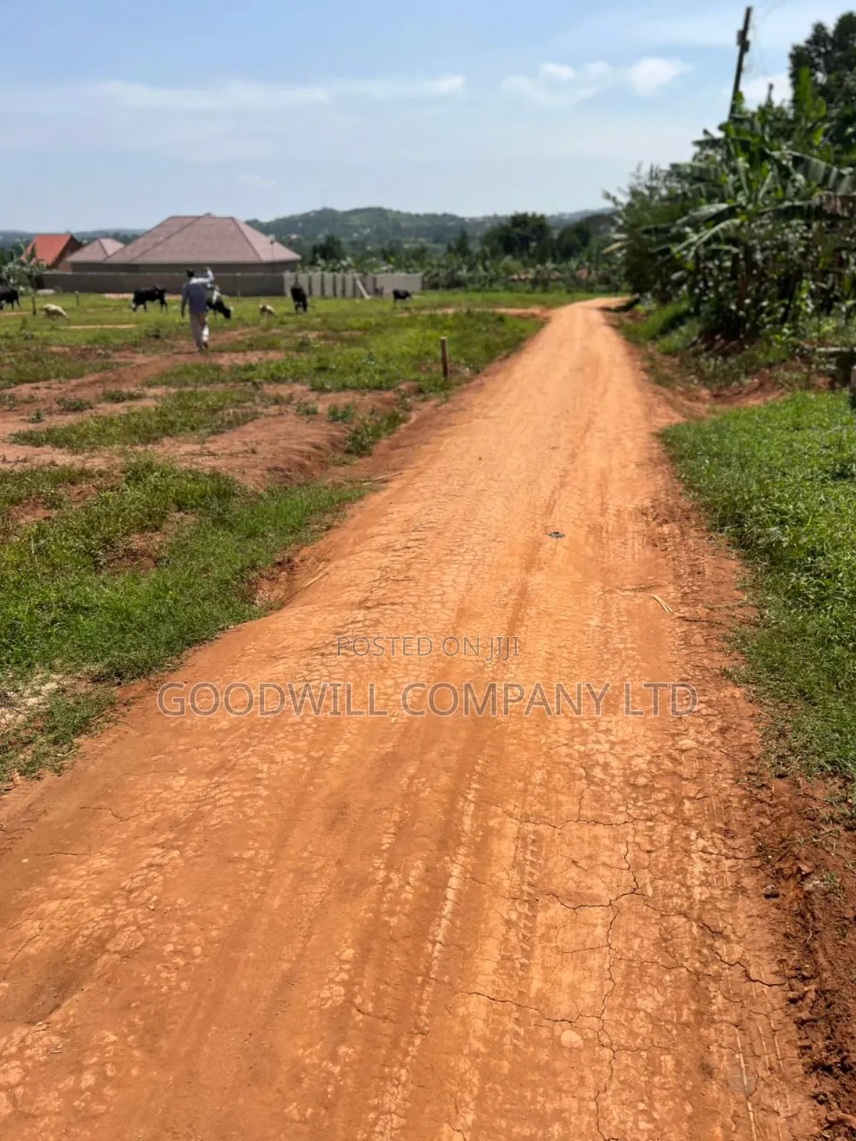 50*100feet and 100*100feet 5plots of Land in Kijabijjo After Nakwer0