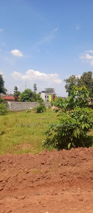Namavundu Road Gayaza Town Half Acre of Land Near Town