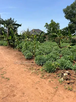 11 Decimals of Land Kijabijjo Near Town