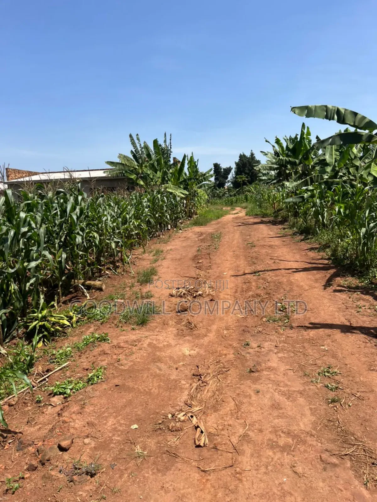 11 Decimals of Land Kijabijjo Near Town