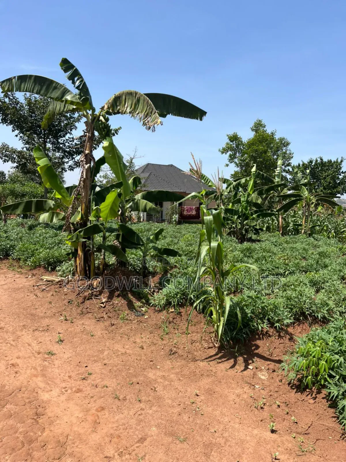 11 Decimals of Land Kijabijjo Near Town