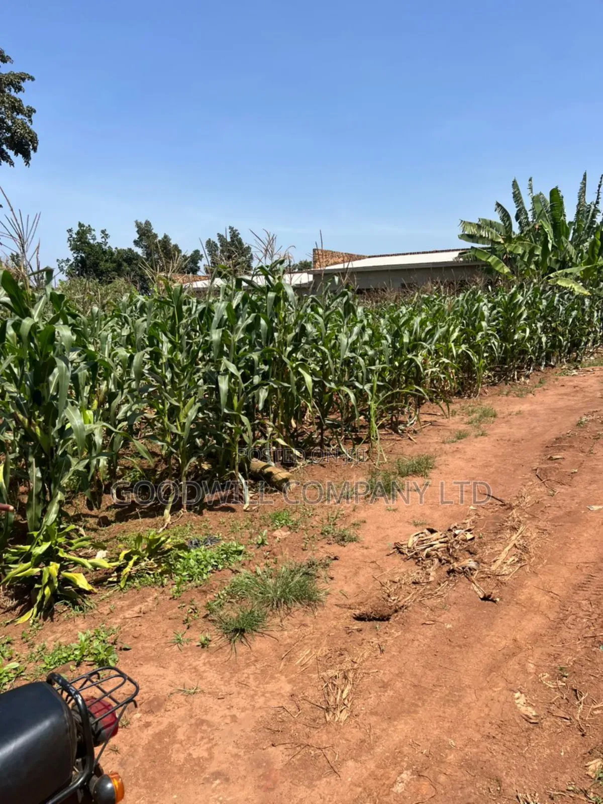 11 Decimals of Land Kijabijjo Near Town
