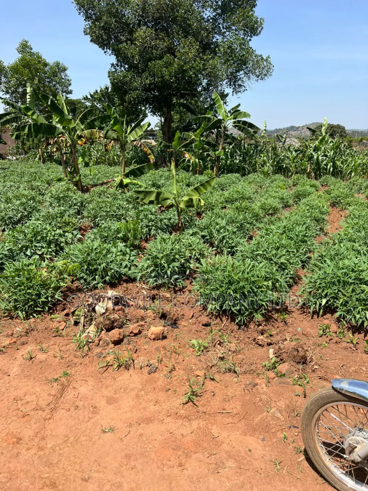11 Decimals of Land Kijabijjo Near Town