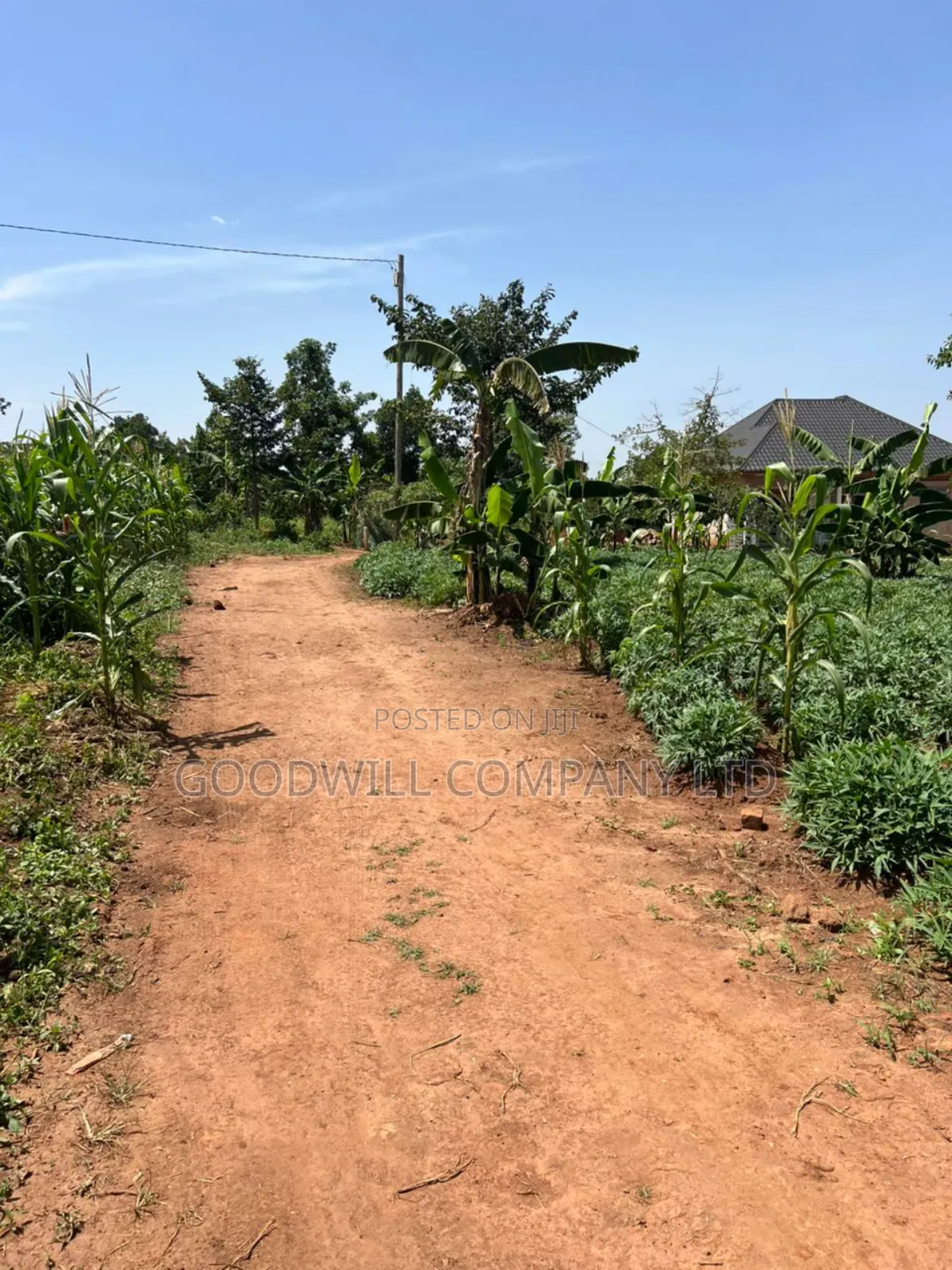 11 Decimals of Land Kijabijjo Near Town