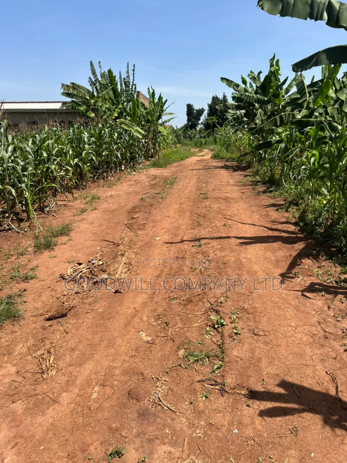 11 Decimals of Land Kijabijjo Near Town