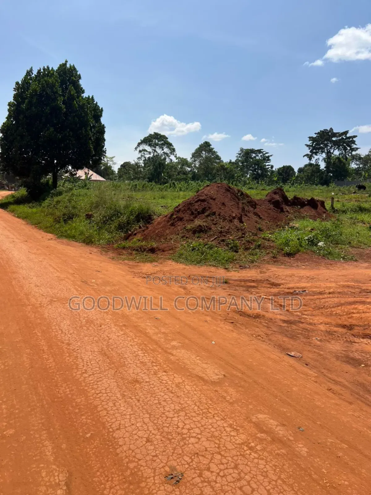 50*100 2plots and Making 100*100ft in Kijabijjo
