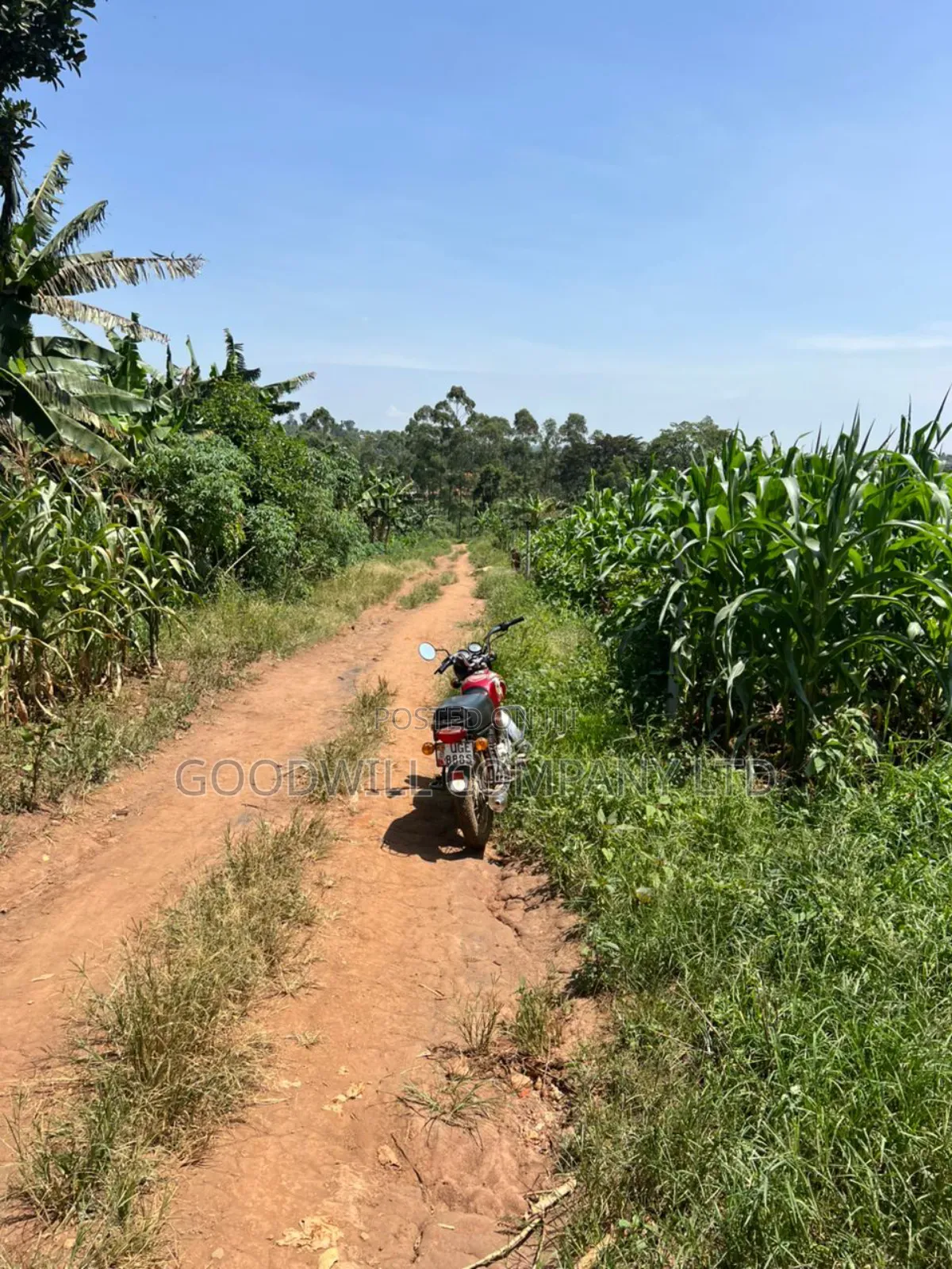 100*100feet Plot of Land in Kijabijjo After Nakwero Gayaza
