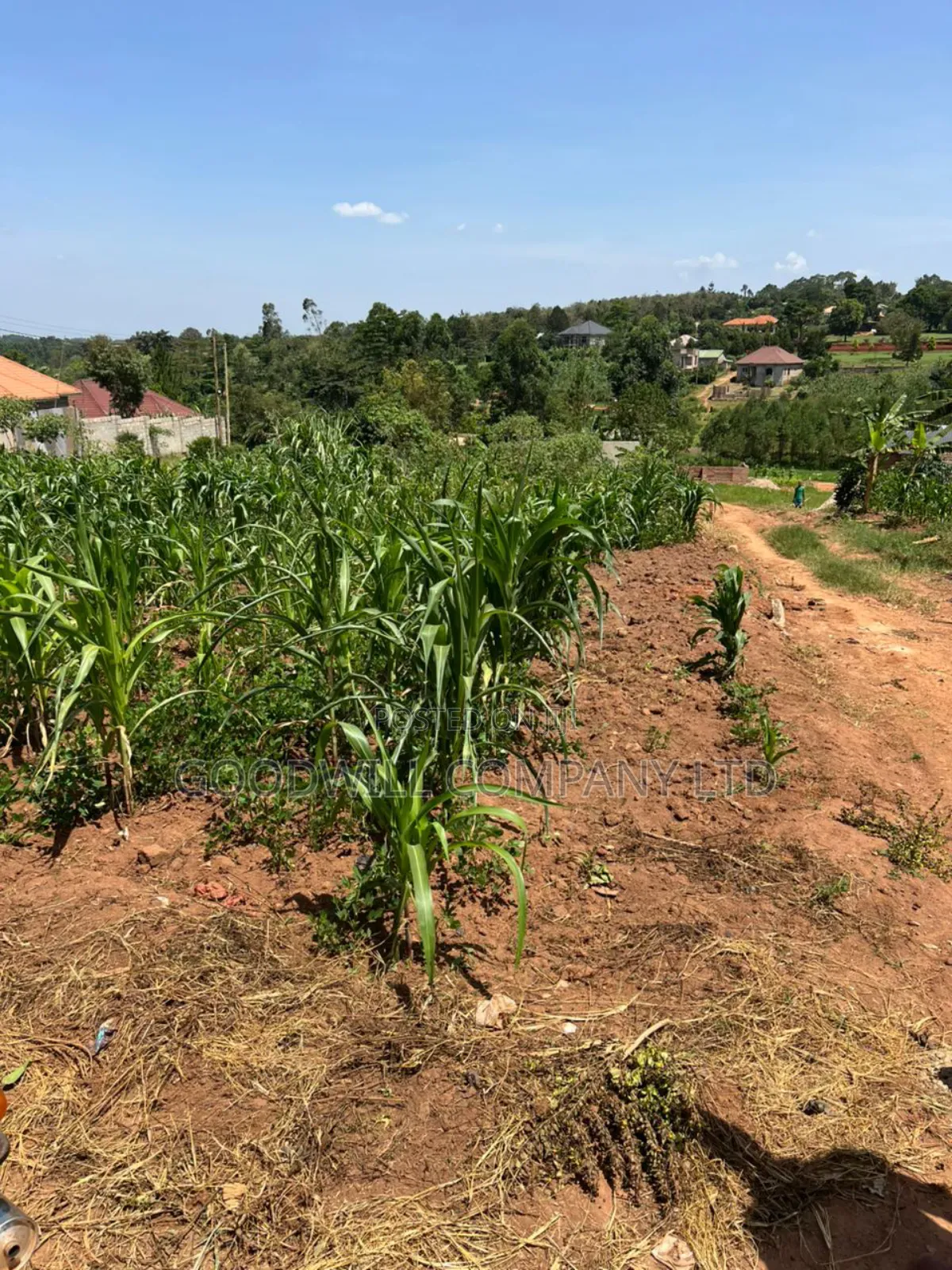 24 Decimals of Land in Kijabijjo Highly Developed Estate
